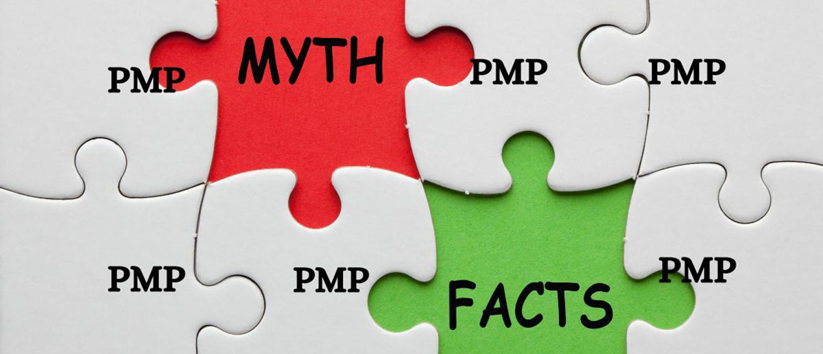 Graphical Representation of pmp exam myths. Puzzle pieces arranged in a sequence where one piece is named myth and others are named pmp